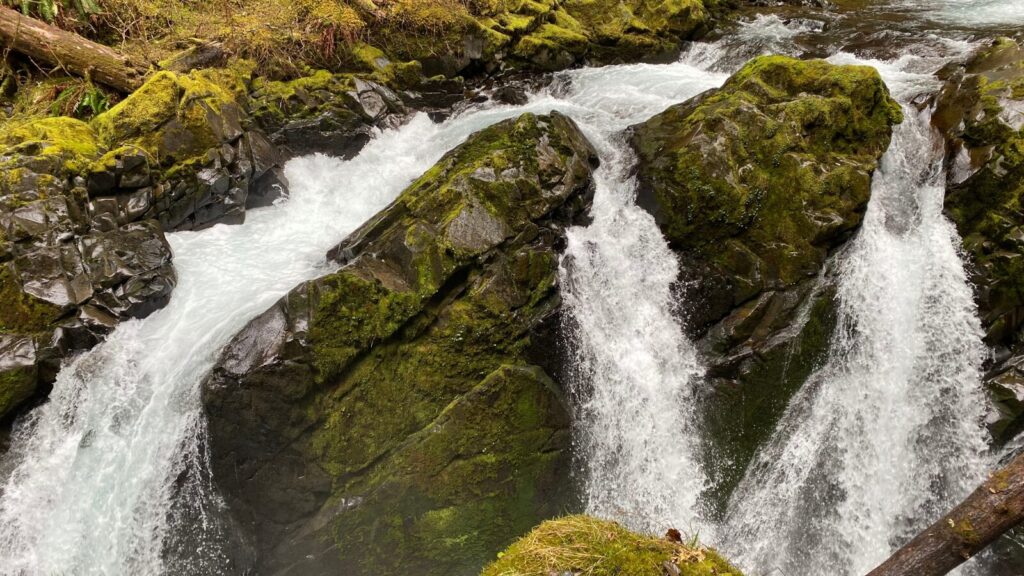 Sol Duc Trail