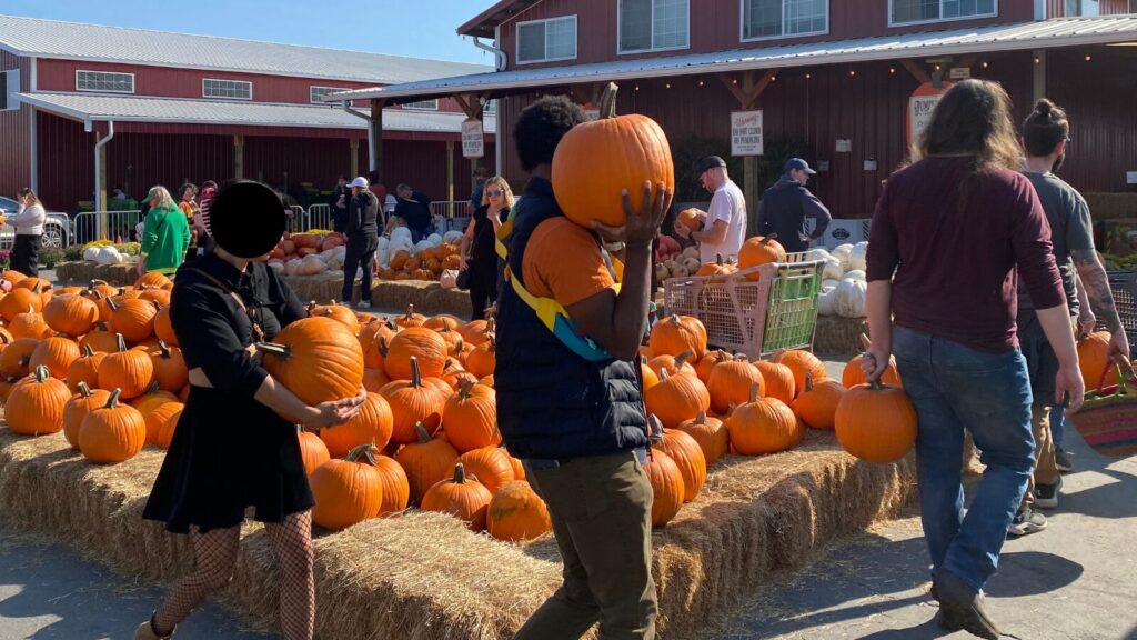 Buy a Pumpkin