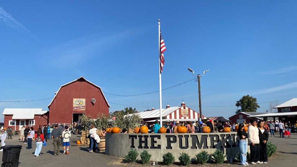 The Pumpkin Patch Farm
