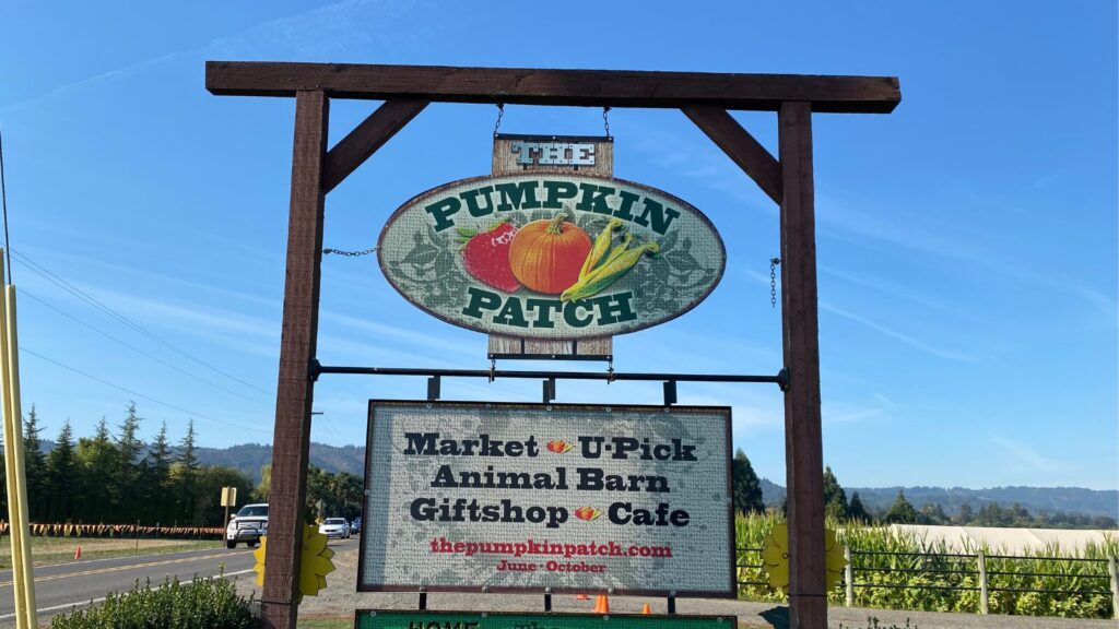 Pumpkin Patch