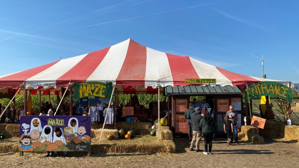 The Corn Maze