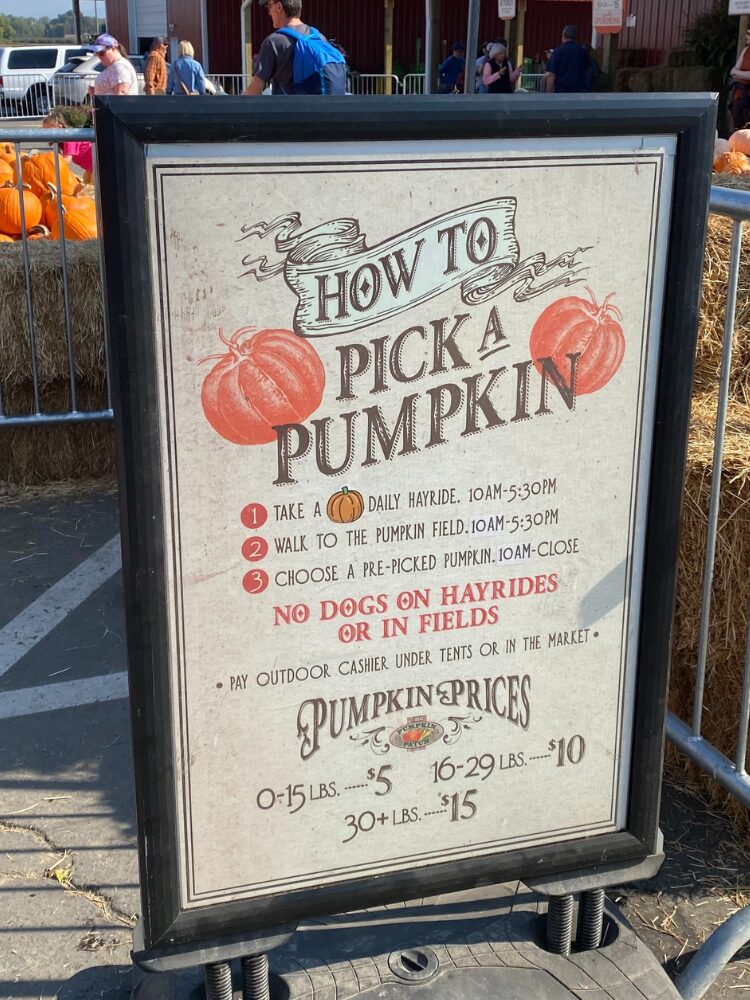 Pick a Pumpkin