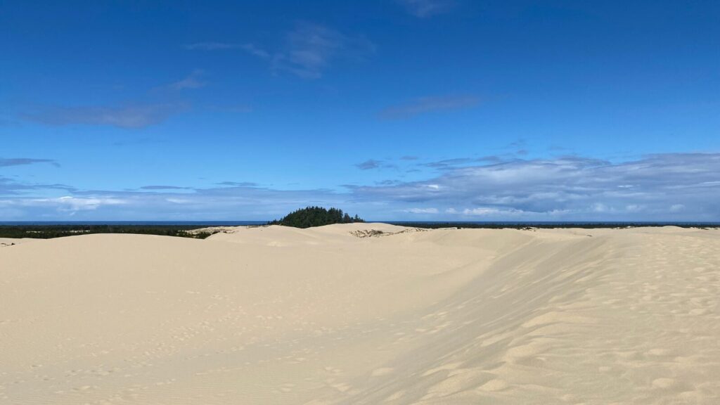 Oregon Dunes