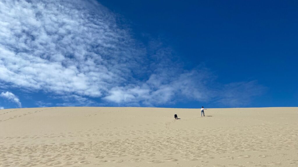 Oregon dunes