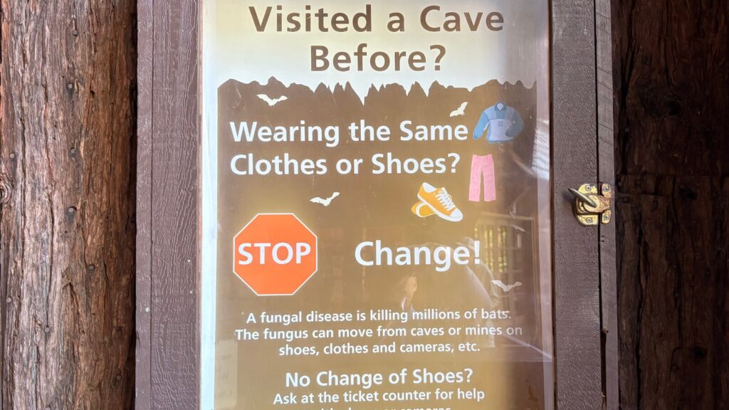 Caveを守るための案内