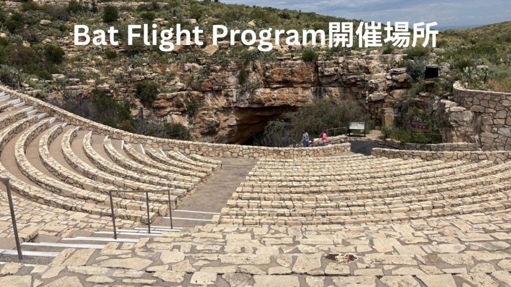 Bat flight program開催場所