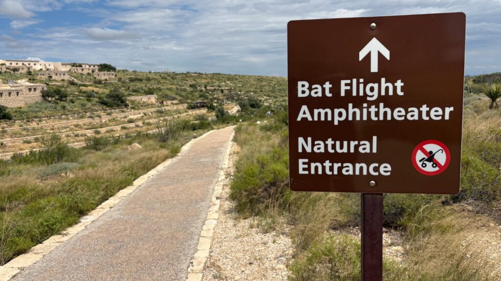 Bat flight amphitheater