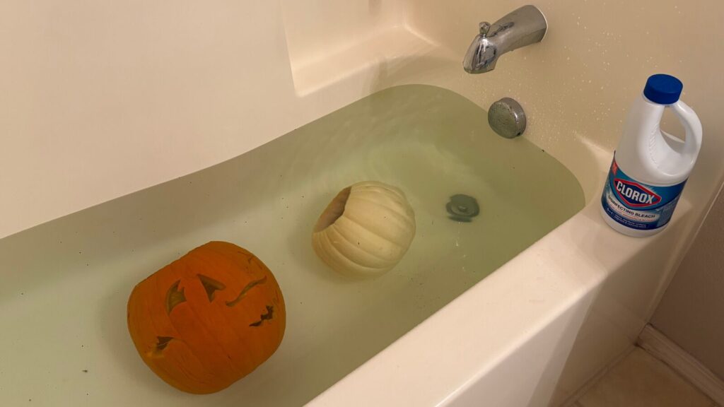Pumpkin in the bleach