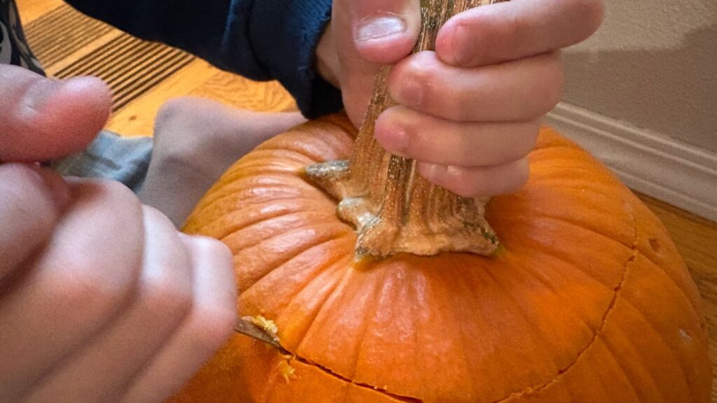 カボチャの上部をカット
