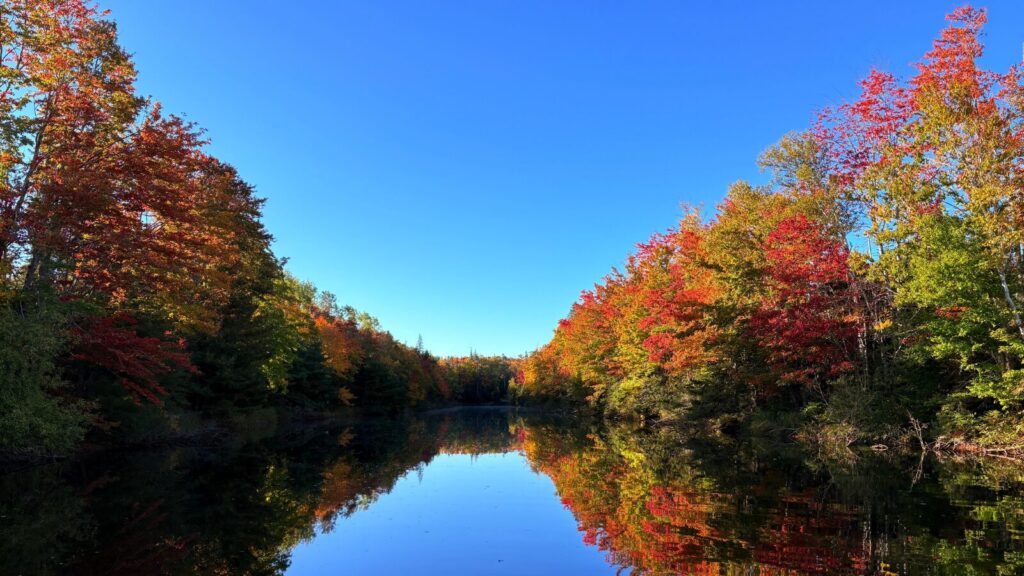 Mooney's pond