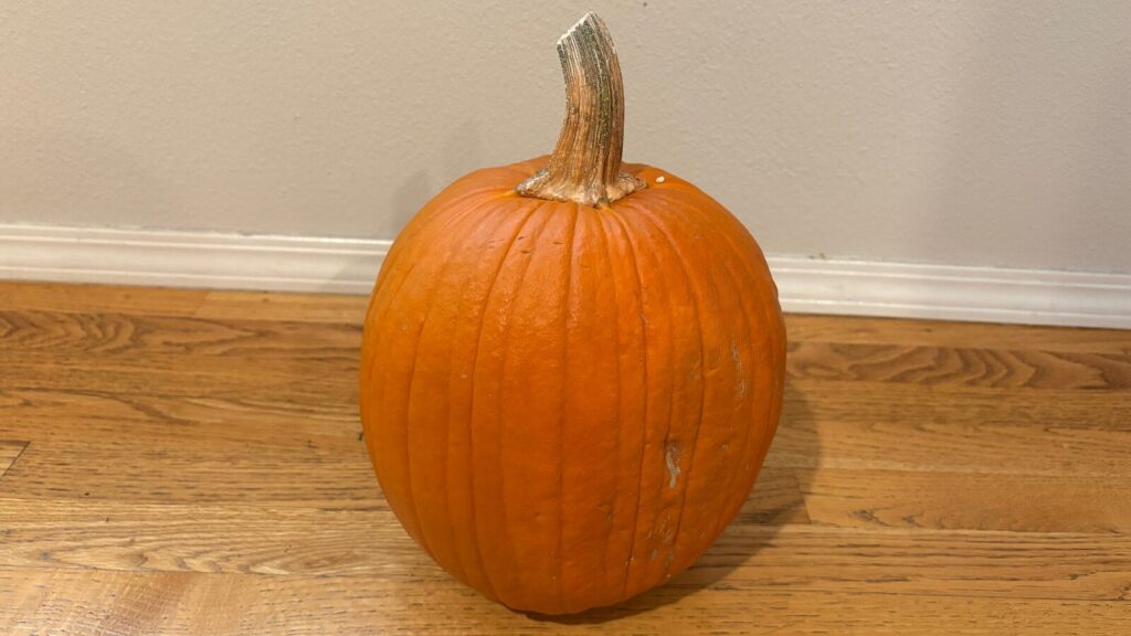 Pumpkin