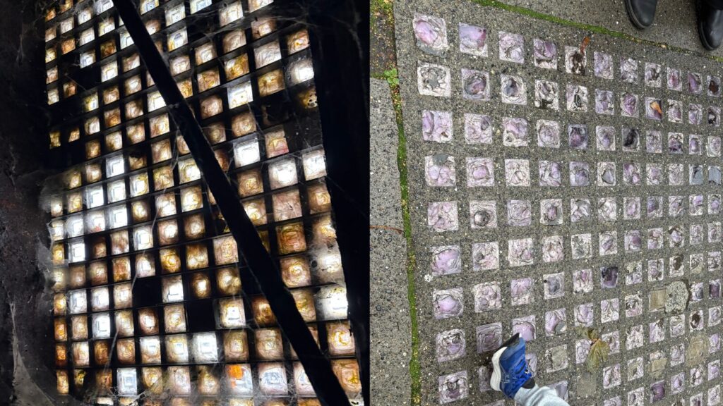 Purple glass on the road