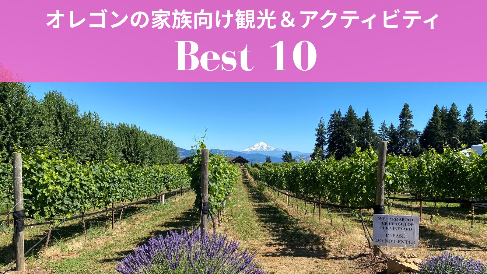 オレゴンの家族向け観光＆アクティビティ10選